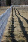 Fence with Shadows